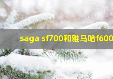 saga sf700和雅马哈f600